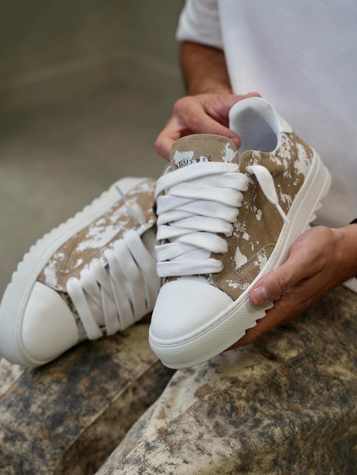 NUMERIS | CLOUD CAMEL
